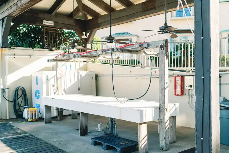 fish cleaning stations