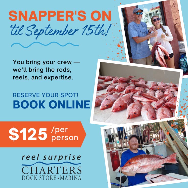 Snapper Season